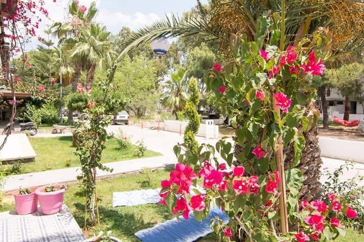 Kiraz Cicegi Butik Otel Akyaka Экстерьер фото